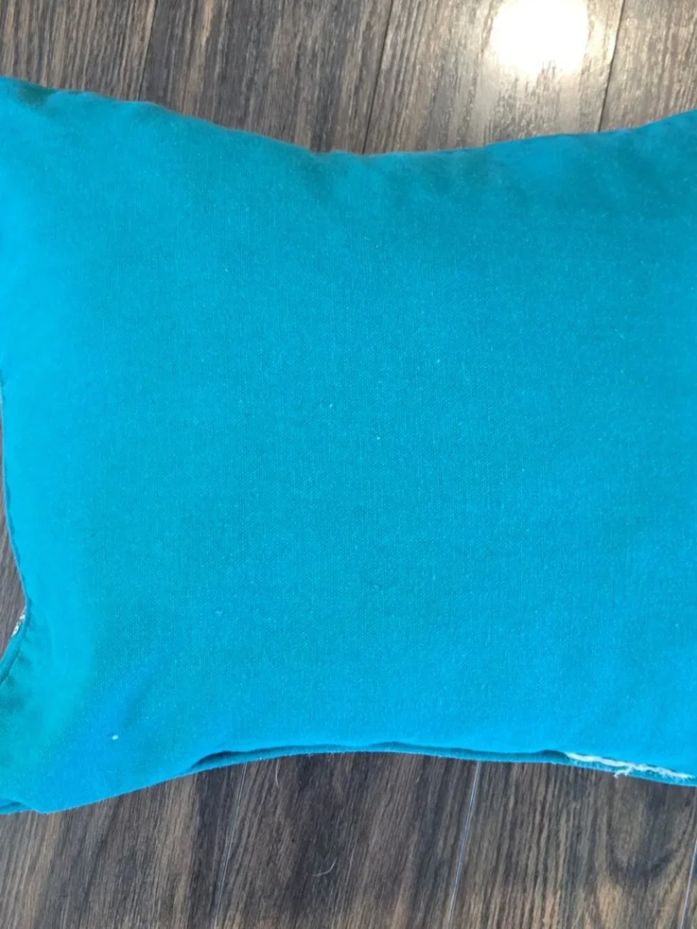 Cottagecore/Shabby Chic Style Aqua & Silver Sequined Accent Pillow